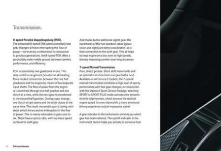 Porsche Carrera. Page 30
