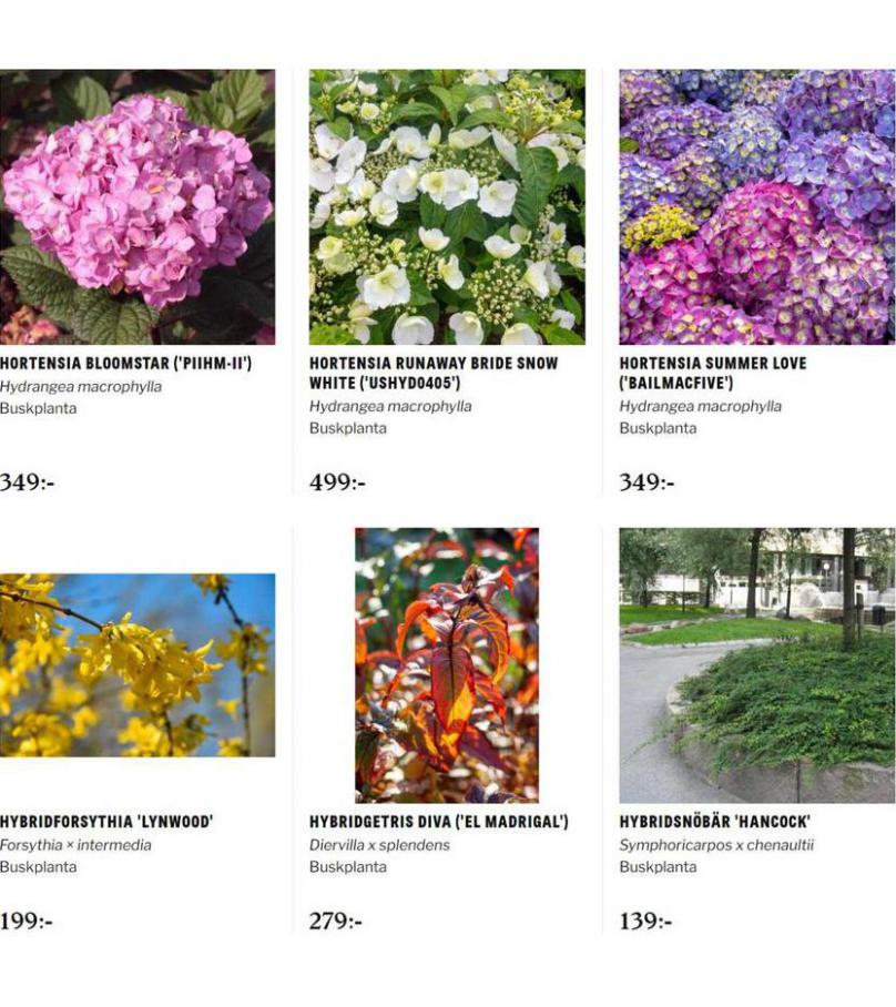 Blomsterlandet Erbjudande Aktuell Kampanj. Page 14