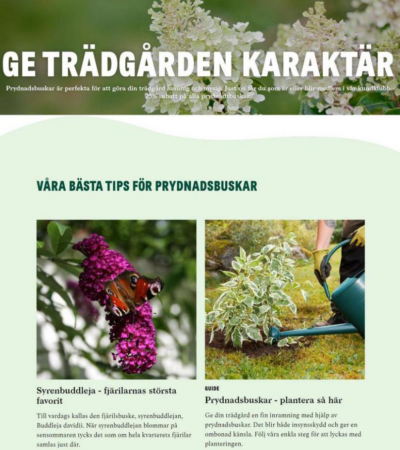 Blomsterlandet Erbjudande Aktuell Kampanj. Page 2