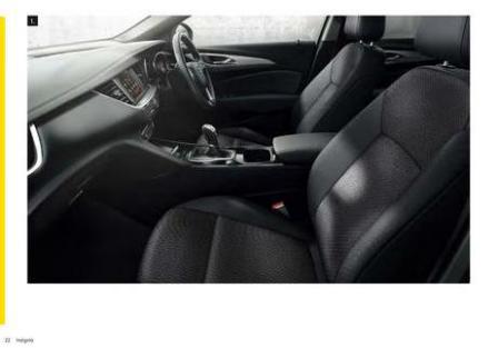 Opel Insignia. Page 20