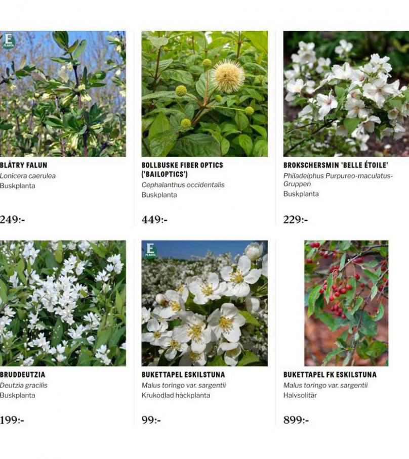 Blomsterlandet Erbjudande Aktuell Kampanj. Page 10