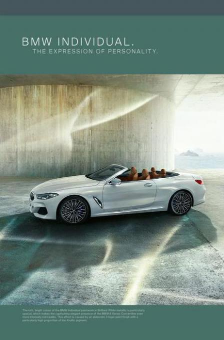 BMW 8-serie Cabriolet. Page 46