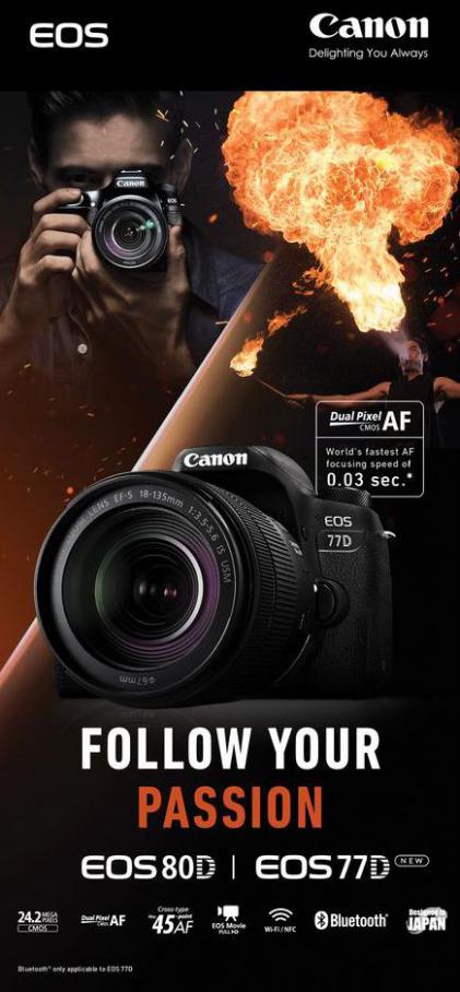 Canon EOS 80D & 77D. Cyberphoto (2021-11-19-2021-11-19)