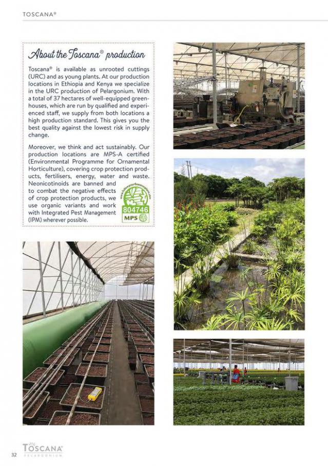 Pelargonium hoernhems 2021-2022. Page 32