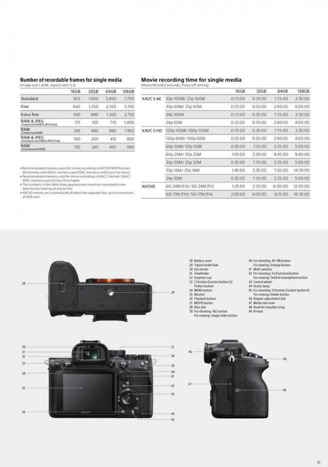 Sony A7R IV. Page 31