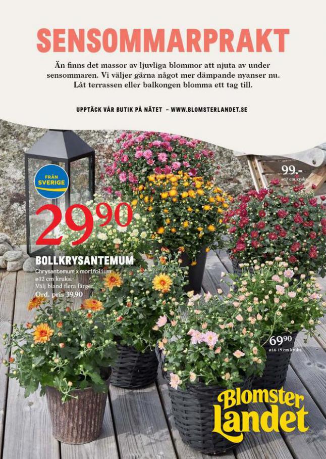 Blomsterlandet Erbjudande Sensommarprakt. Blomsterlandet (2021-09-05-2021-09-05)