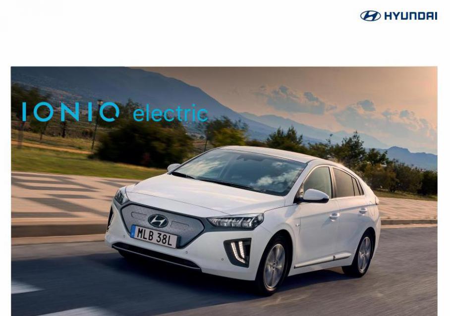 Hyundai IONIQ Electric. Hyundai (2022-06-30-2022-06-30)