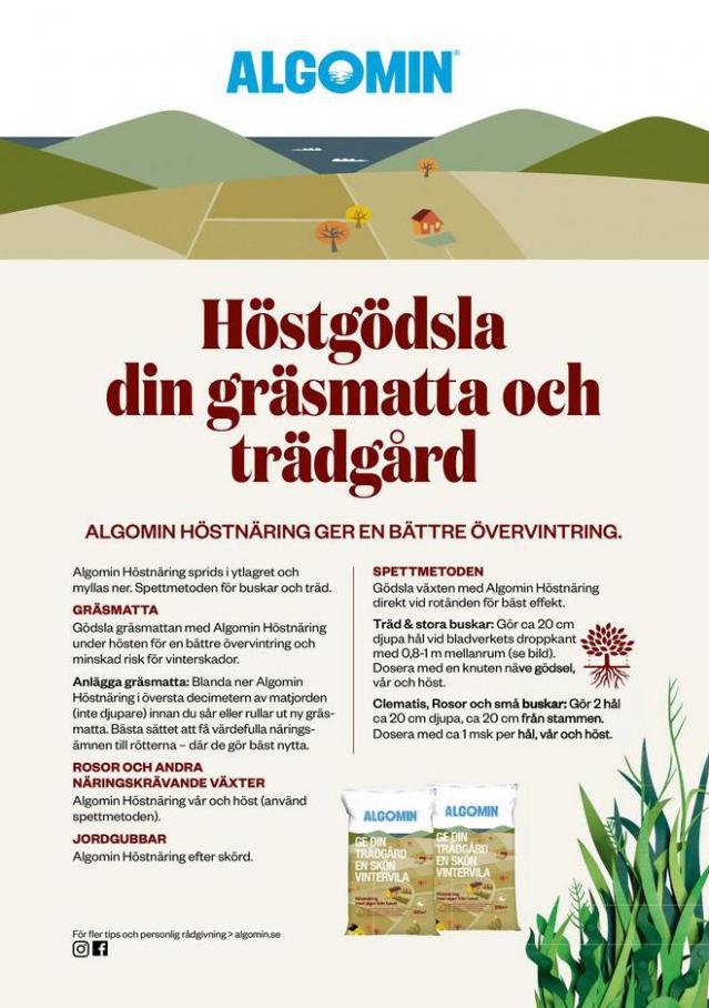 Blomsterlandet Erbjudande Aktuell Kampanj. Page 25