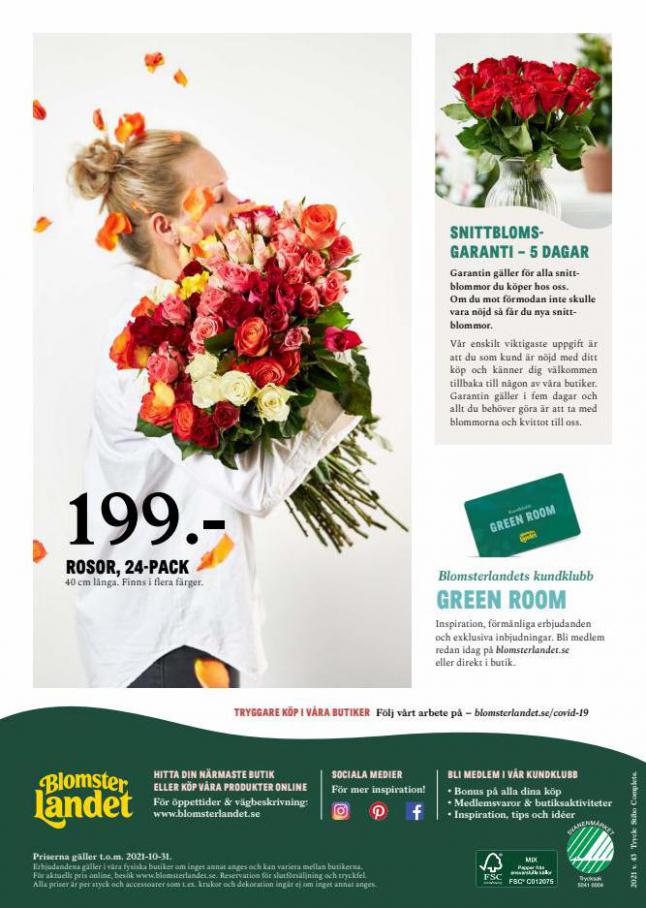 Blomsterlandet Erbjudande Aktuell Kampanj. Page 12