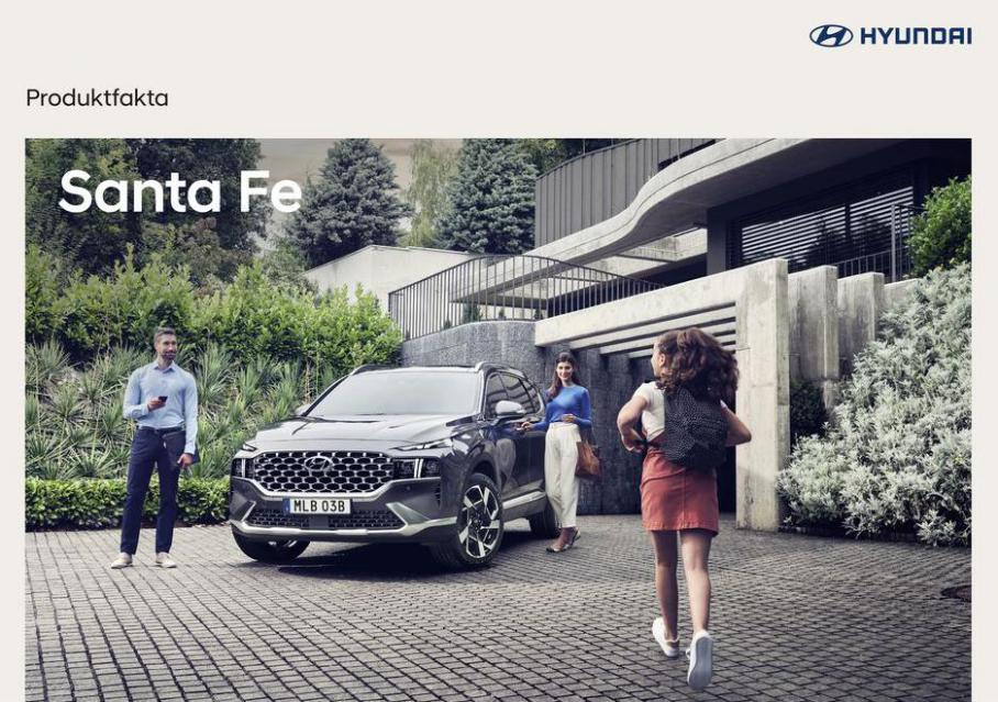Hyundai Santa Fe. Belins Bil (2021-12-31-2021-12-31)