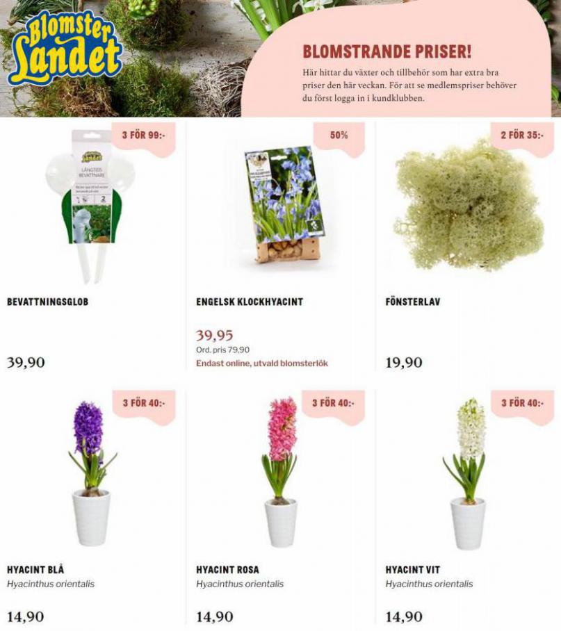 Blomsterlandet Erbjudande Blomsterlandet Priser!. Blomsterlandet (2021-11-22-2021-11-22)