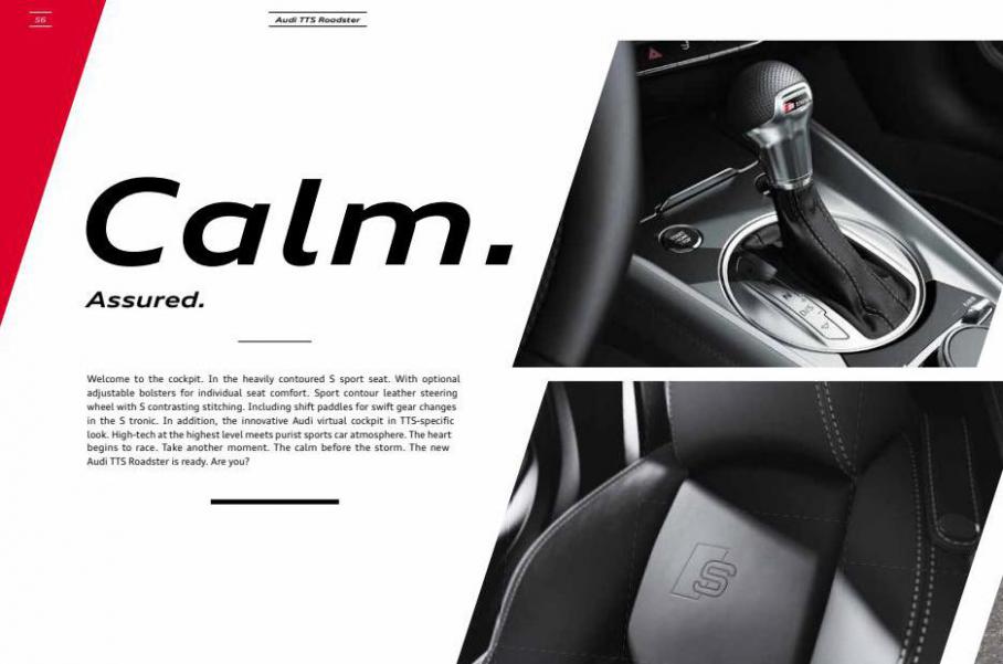 Audi TT & TTS. Page 56