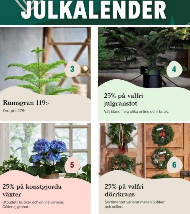 Blomsterlandet Erbjudande Julkalender 2021. Page 2