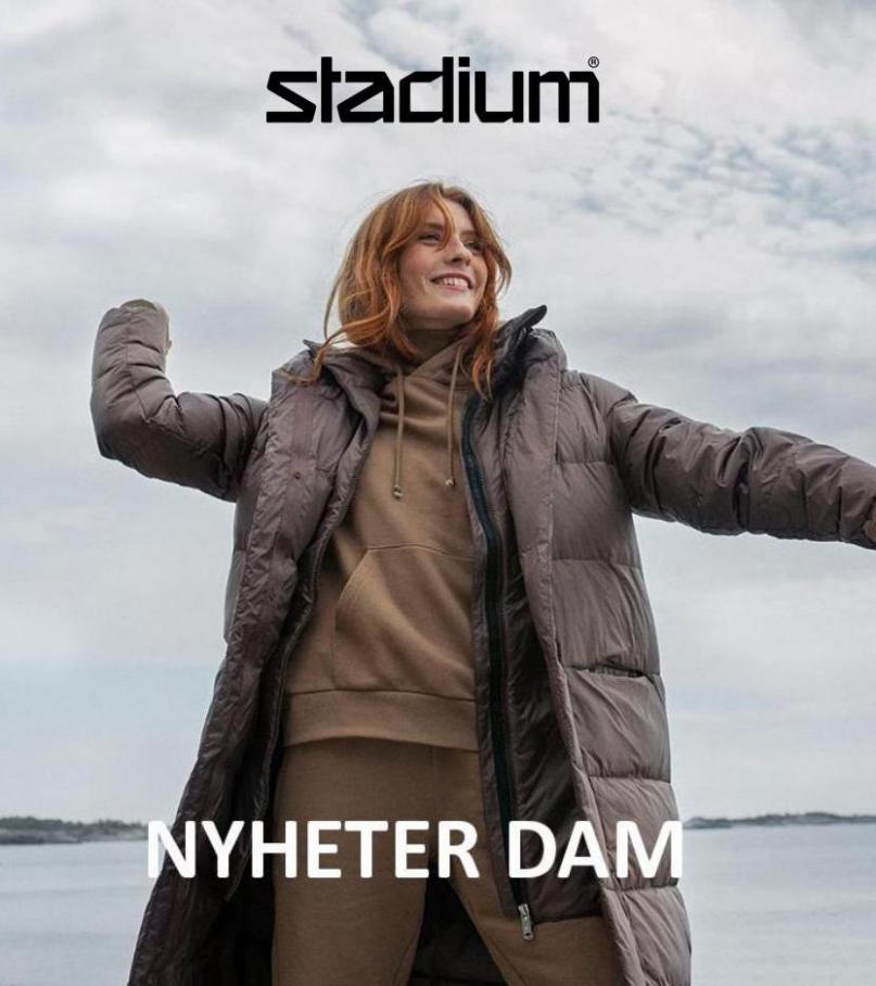 Nyheter Dam. Stadium (2022-01-25-2022-01-25)