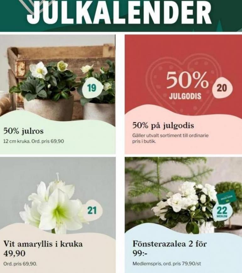 Blomsterlandet Erbjudande Julkalender 2021. Page 6