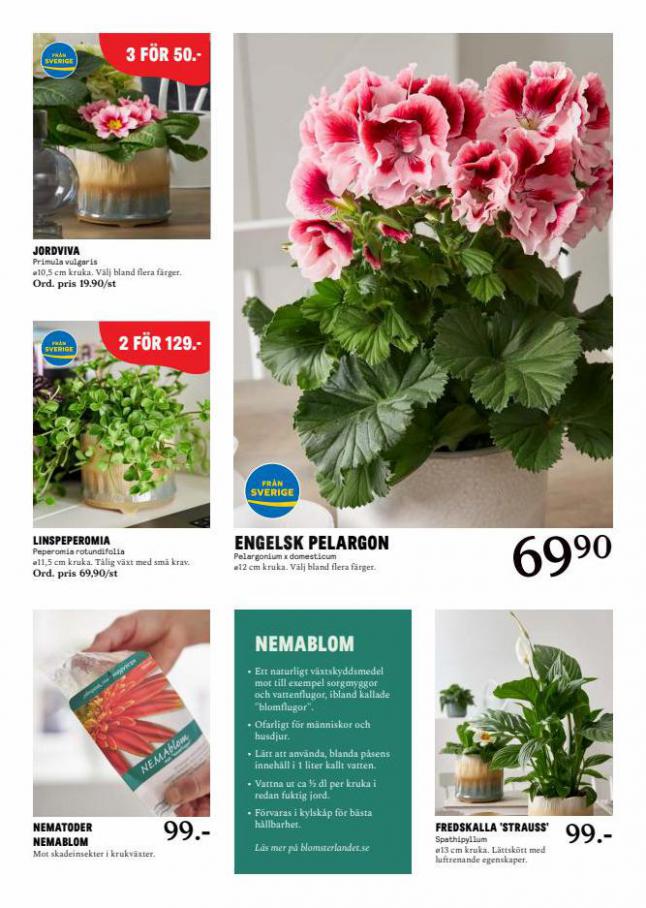 Blomsterlandet Erbjudande Aktuell Kampanj. Page 5