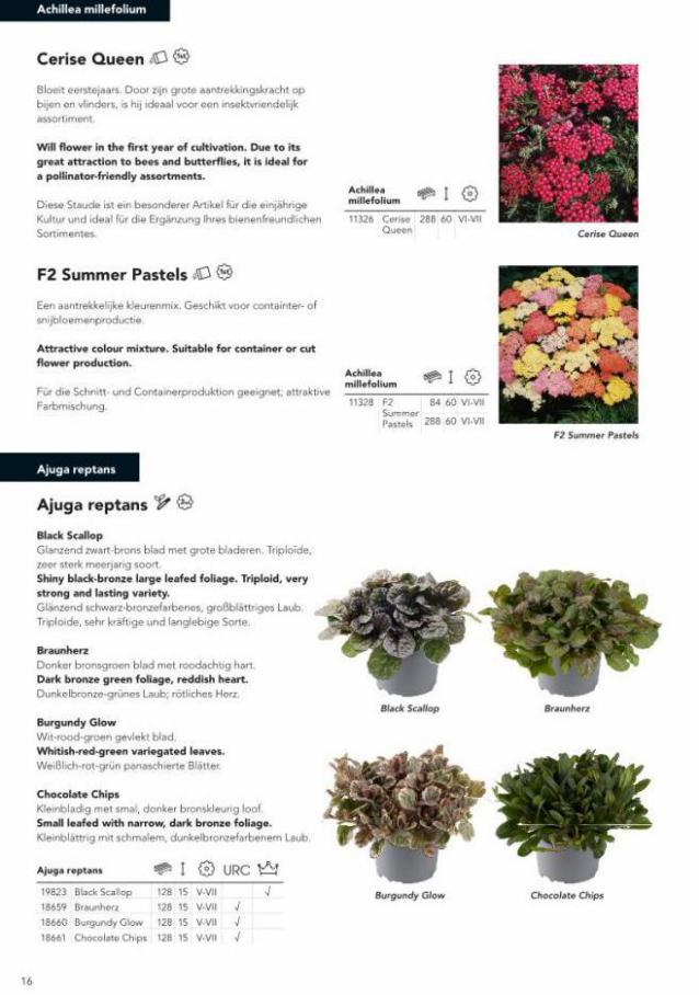 Perennials 2022. Page 18