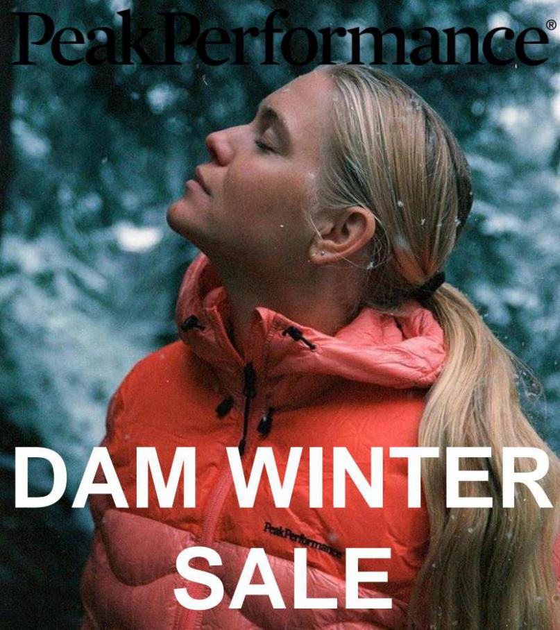 Dam Winter Rea. Peak Performance (2022-03-31-2022-03-31)