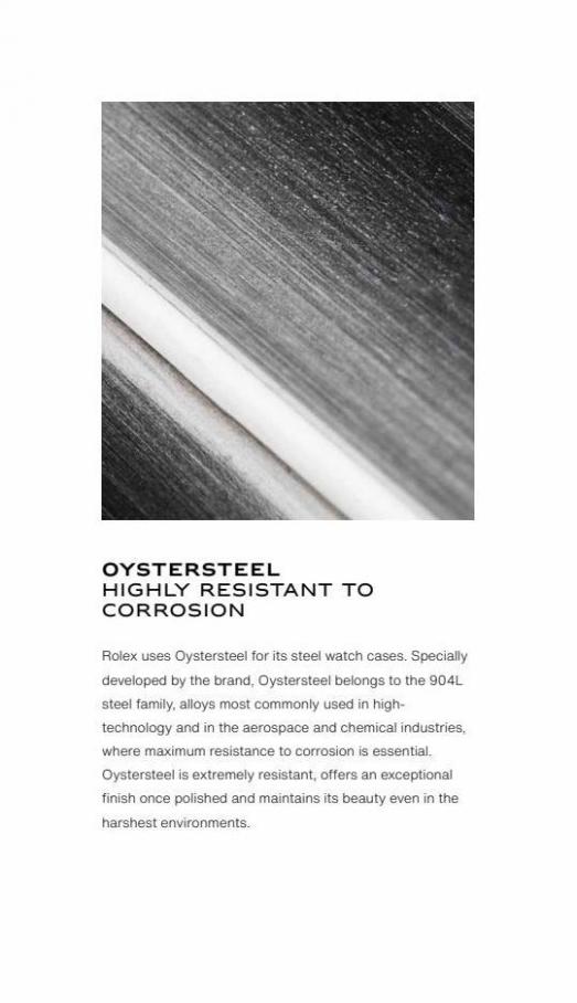 Oyster Perpetual 41. Page 4