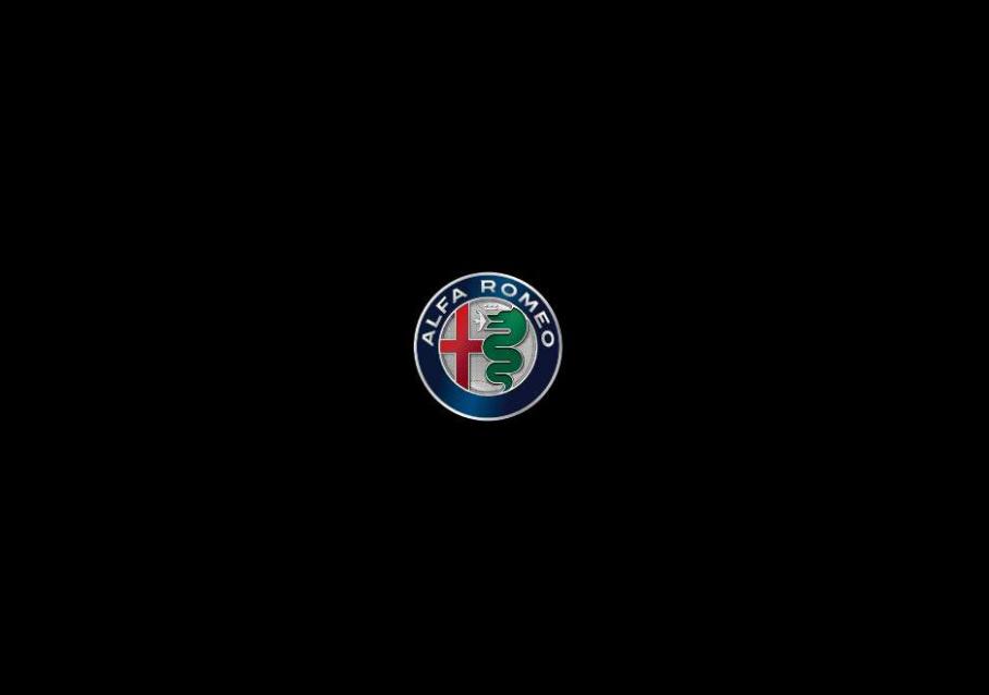 Alfa Romeo Stelvio. Page 2
