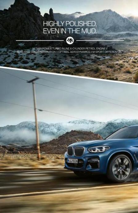 BMW The X3. Page 10