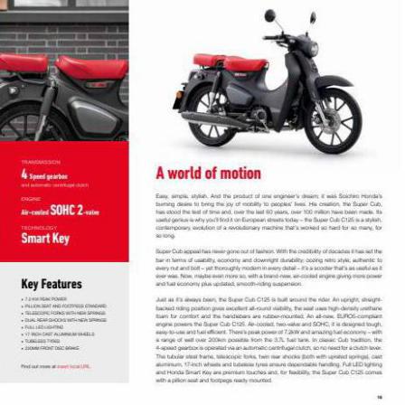 Honda Scooters 2022. Page 19