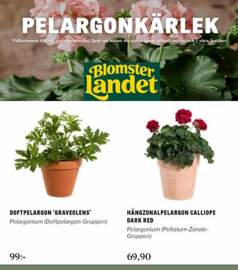 Nyheter. Blomsterlandet (2022-04-04-2022-04-04)