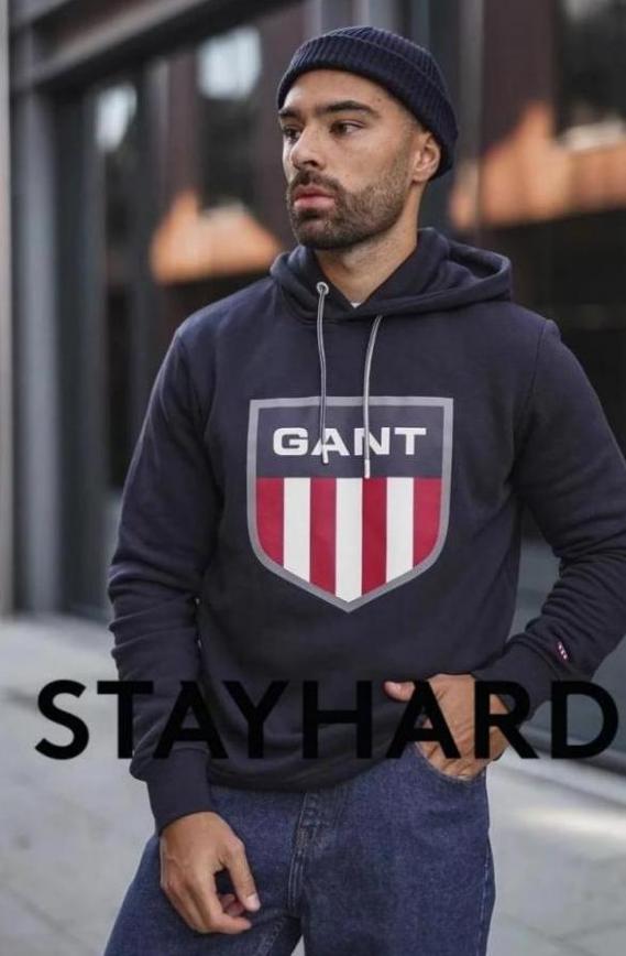 On the Streets. Stayhard (2022-05-20-2022-05-20)