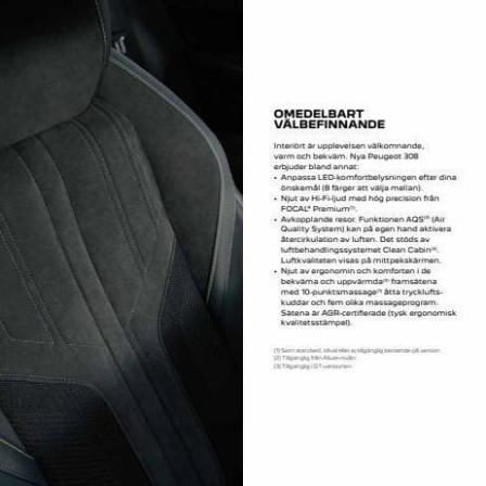 Peugeot 308. Page 20
