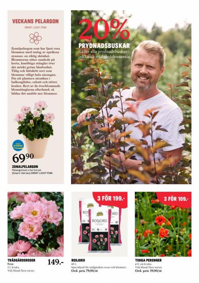 Blomsterlandet Erbjudande Aktuell Kampanj. Page 6