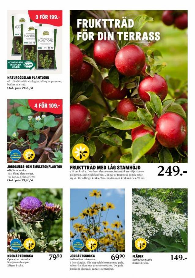 Blomsterlandet Erbjudande Aktuell Kampanj. Page 5