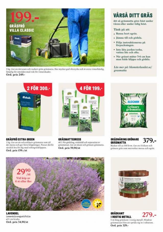 Blomsterlandet Erbjudande Aktuell Kampanj. Page 7