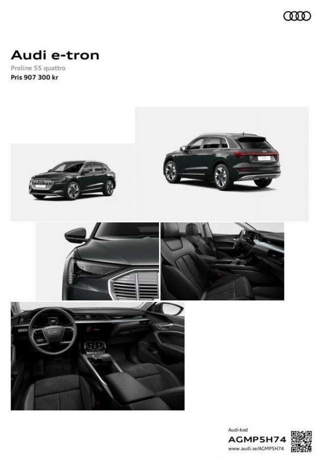 Audi e-tron. Audi (2023-05-06-2023-05-06)