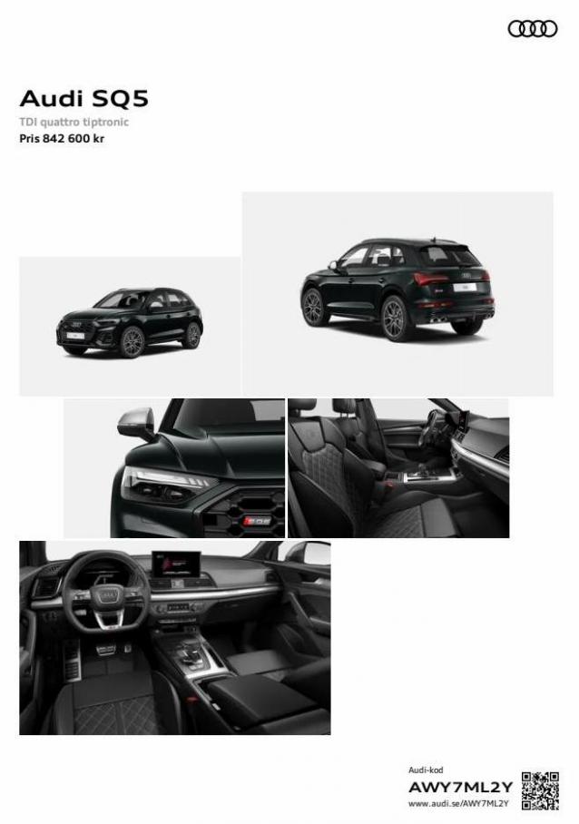 Audi SQ5. Audi (2023-04-28-2023-04-28)