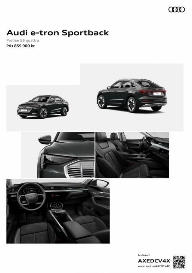 Audi e-tron Sportback. Audi (2023-04-28-2023-04-28)