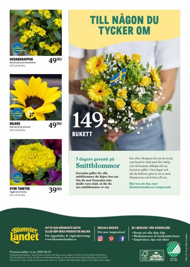Blomsterlandet Erbjudande Aktuell Kampanj. Page 8