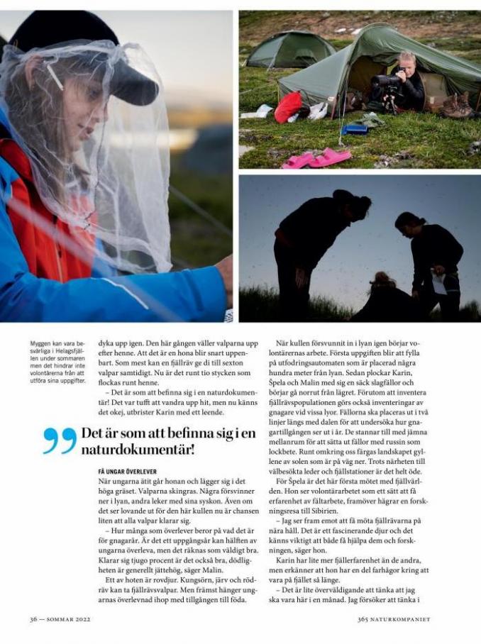 Sommar 2022. Page 36