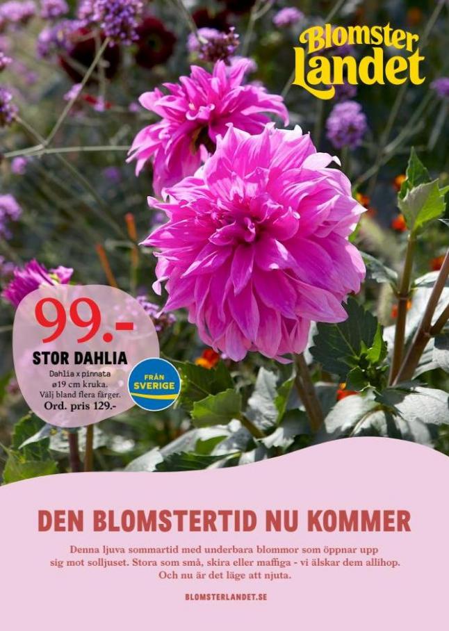 Blomsterlandet Erbjudande Aktuell Kampanj. Blomsterlandet (2022-06-12-2022-06-12)