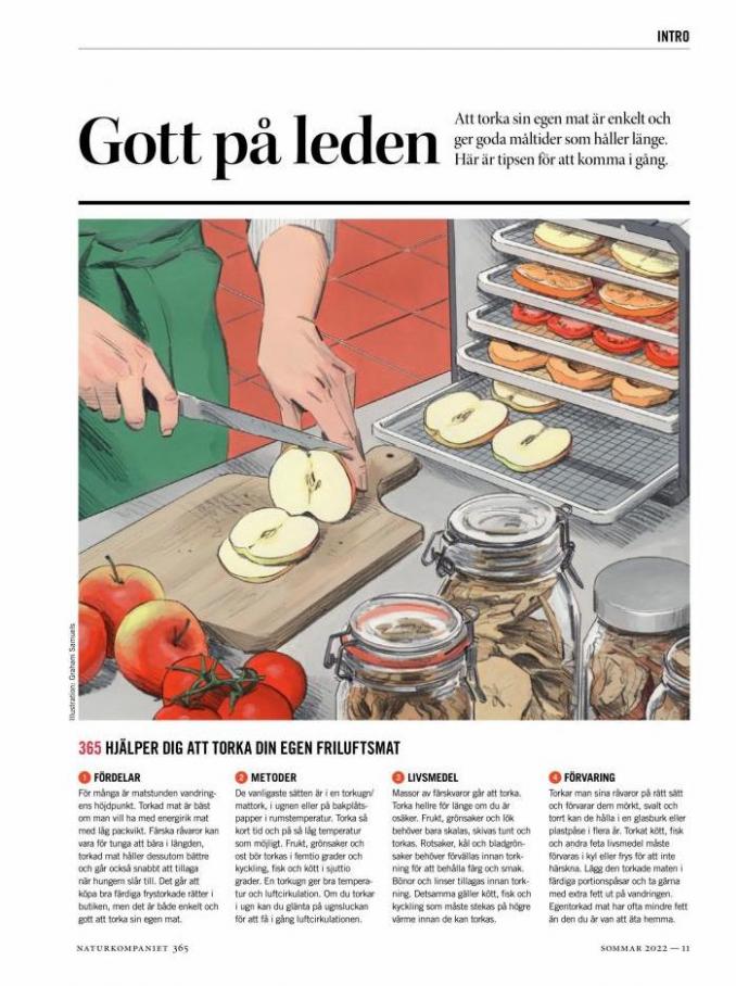 Sommar 2022. Page 11