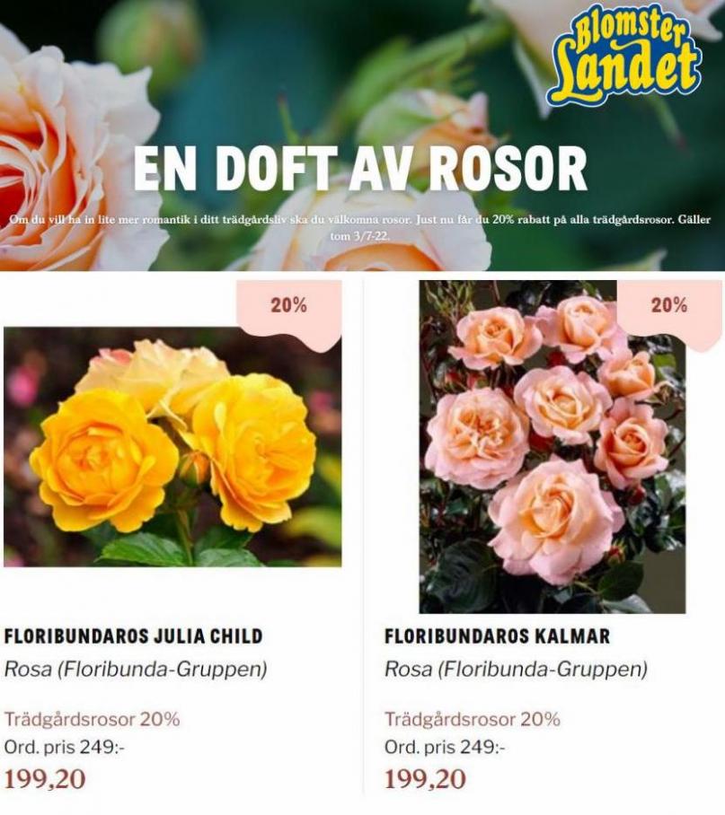 Blomsterlandet Erbjudande En doft av rosor. Page 9