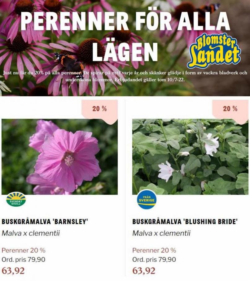 Blomsterlandet Erbjudande Aktuell Kampanj. Page 26