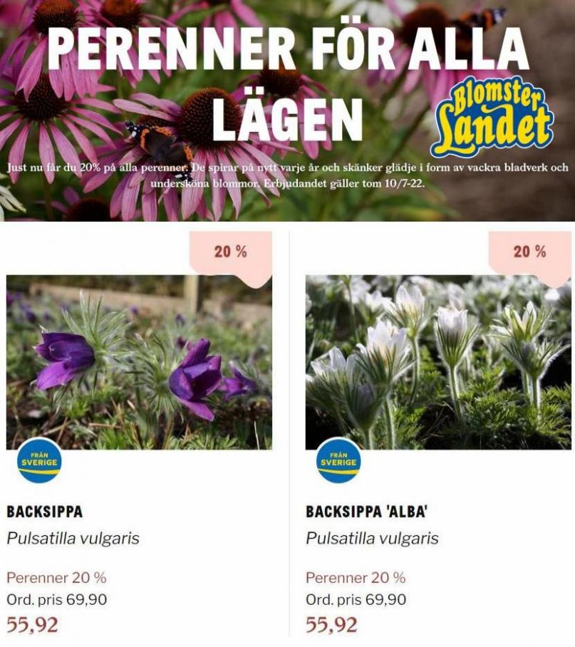 Blomsterlandet Erbjudande Aktuell Kampanj. Page 19