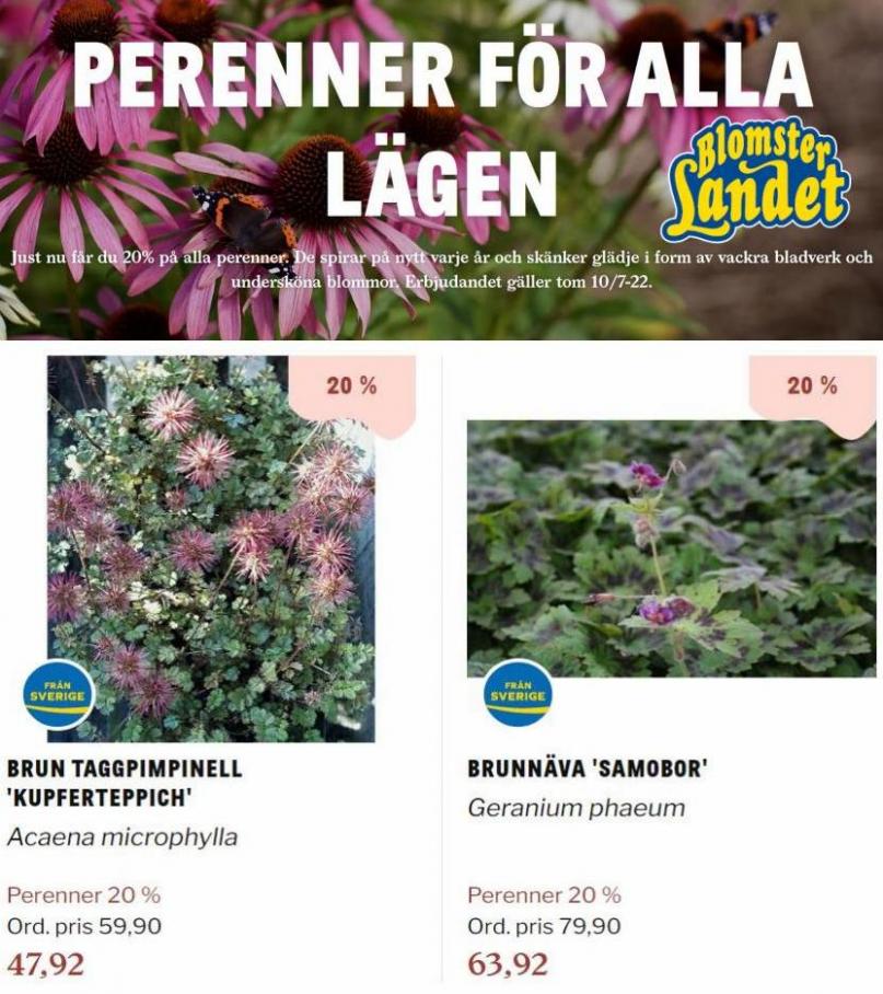 Blomsterlandet Erbjudande Aktuell Kampanj. Page 24
