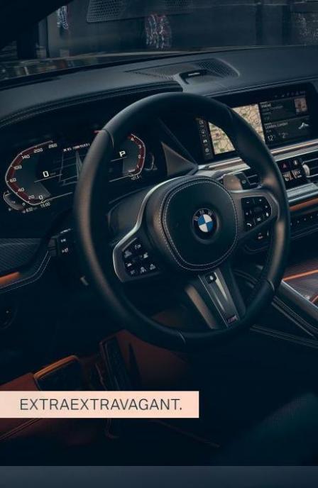 BMW X6. Page 10