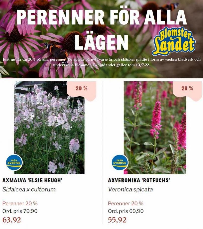 Blomsterlandet Erbjudande Aktuell Kampanj. Page 18