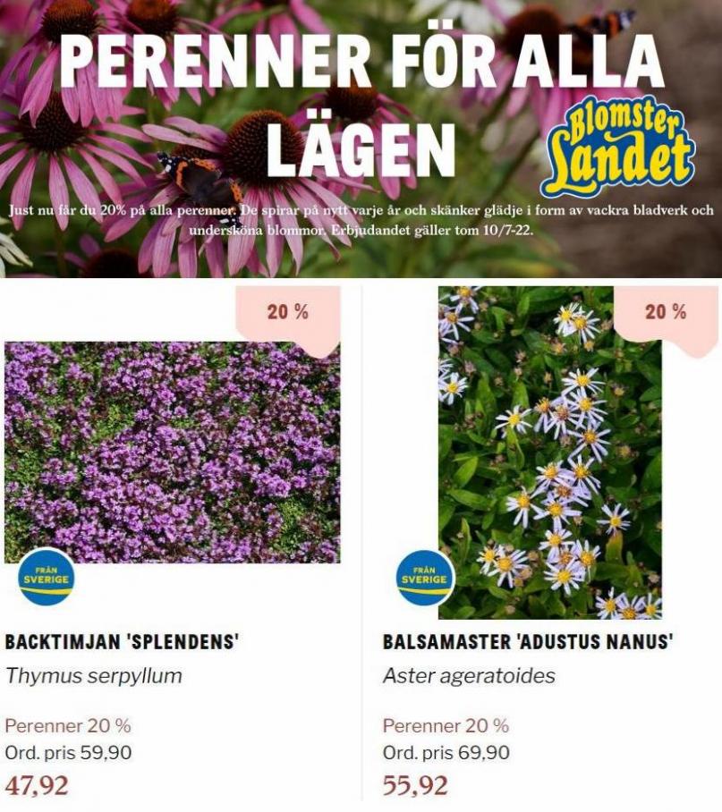 Blomsterlandet Erbjudande Aktuell Kampanj. Page 20