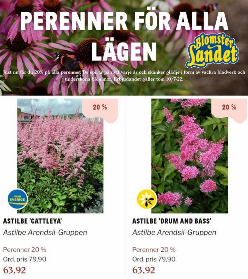 Blomsterlandet Erbjudande Aktuell Kampanj. Page 14