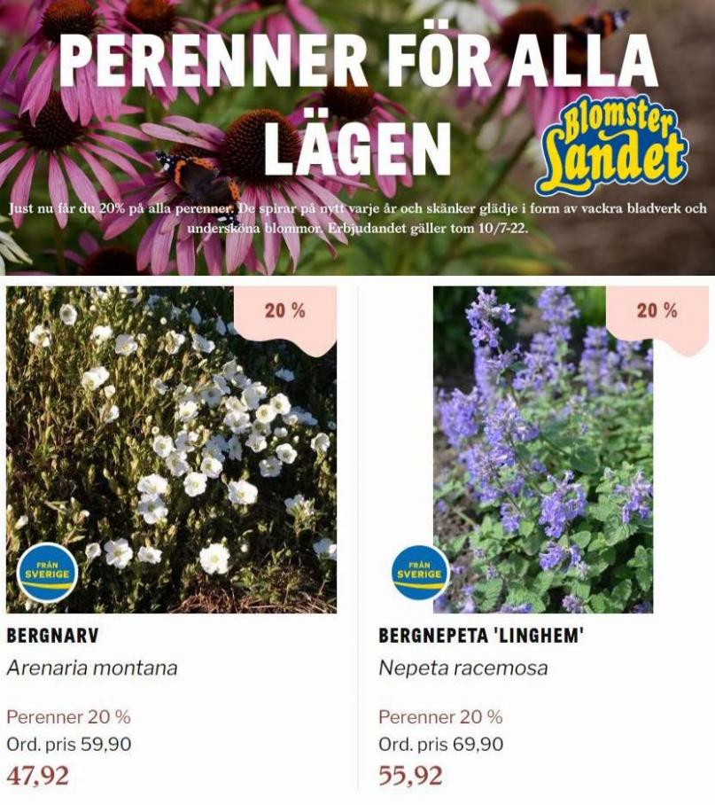 Blomsterlandet Erbjudande Aktuell Kampanj. Page 22