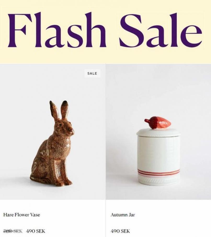 Flash Sale. Page 10
