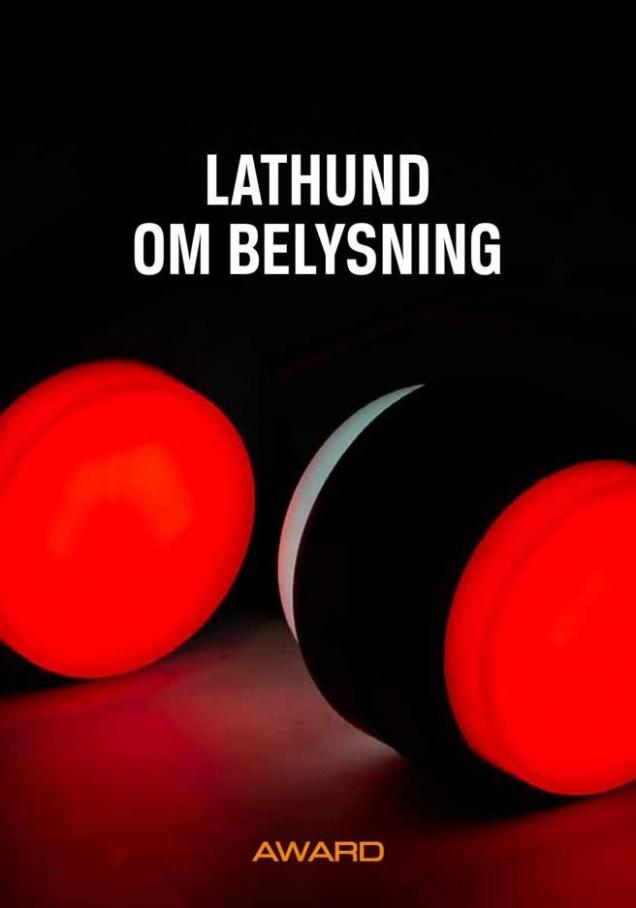 Lathund om belysning. Swedol (2022-12-31-2022-12-31)
